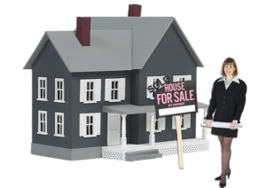 House for sale and real estate agent 