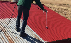 roof painters